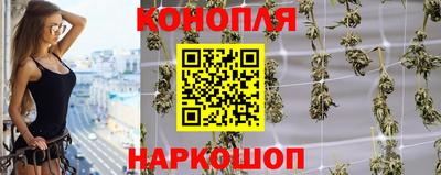 гидра Пенза
