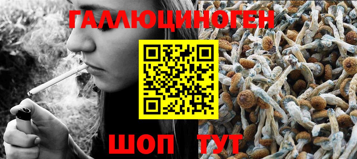 Рубцовск  Галлюциногенные грибы мицелий  Вход с VPN 