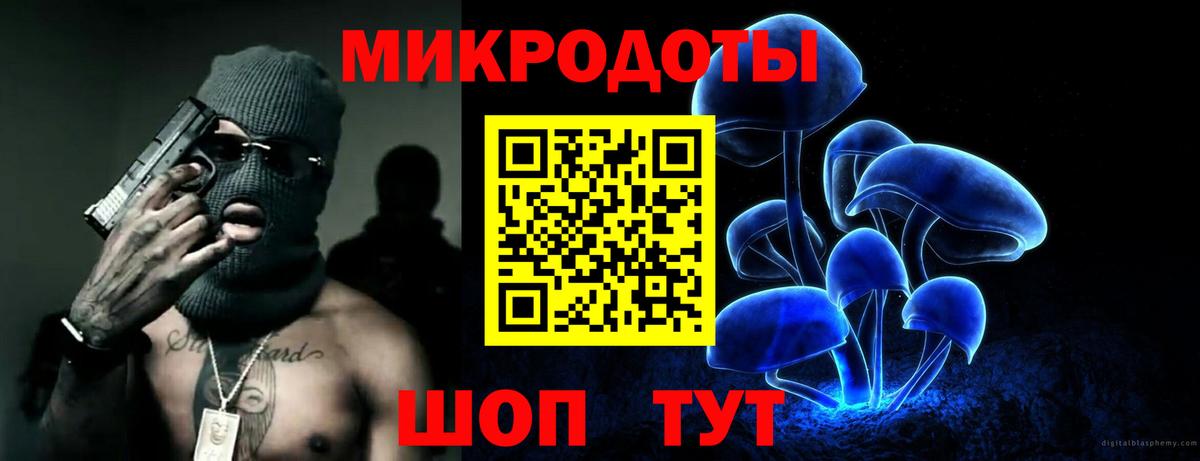 Псилоцибиновые грибы Psilocybe Рубцовск
